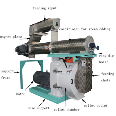 Automatic Poultry Feed Pellet Machine 1000-3000kg/H Animal Feed Pellet Mill